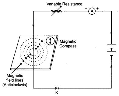 CBSE Previous Year Question Papers Class 10 Science 2019 Delhi Set III Q17