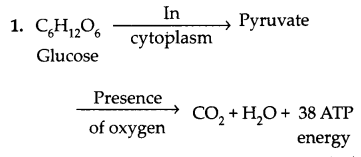 CBSE Previous Year Question Papers Class 10 Science 2019 Delhi Set I Q4