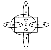 CBSE Previous Year Question Papers Class 10 Science 2019 Delhi Set I Q17.2