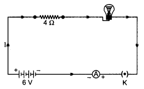 CBSE Previous Year Question Papers Class 10 Science 2019 Delhi Set I Q20