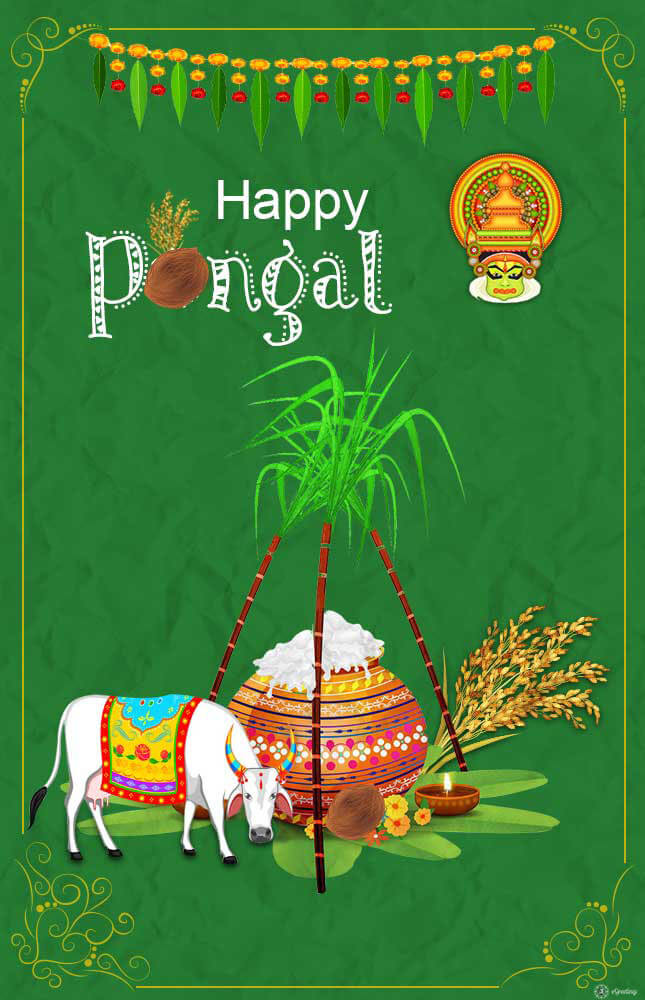 Happy Pongal Greetings