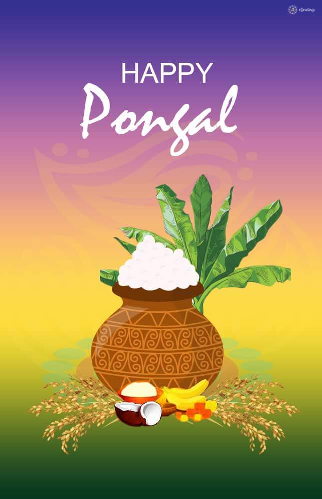 Happy Pongal Whatsapp Status