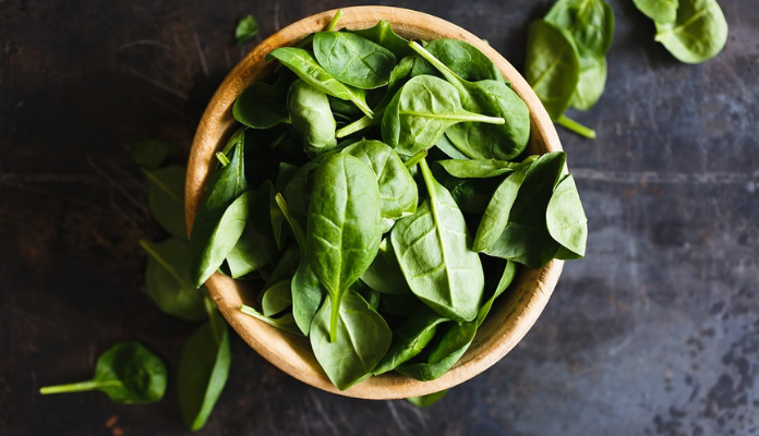 Health Benefits Of Basil