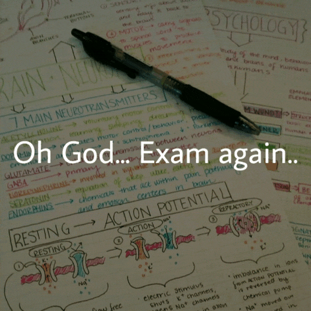 CBSE Study Motivation