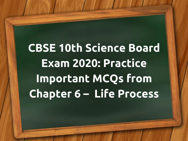 MCQ Questions for Class 10 Science Life Process with Answers