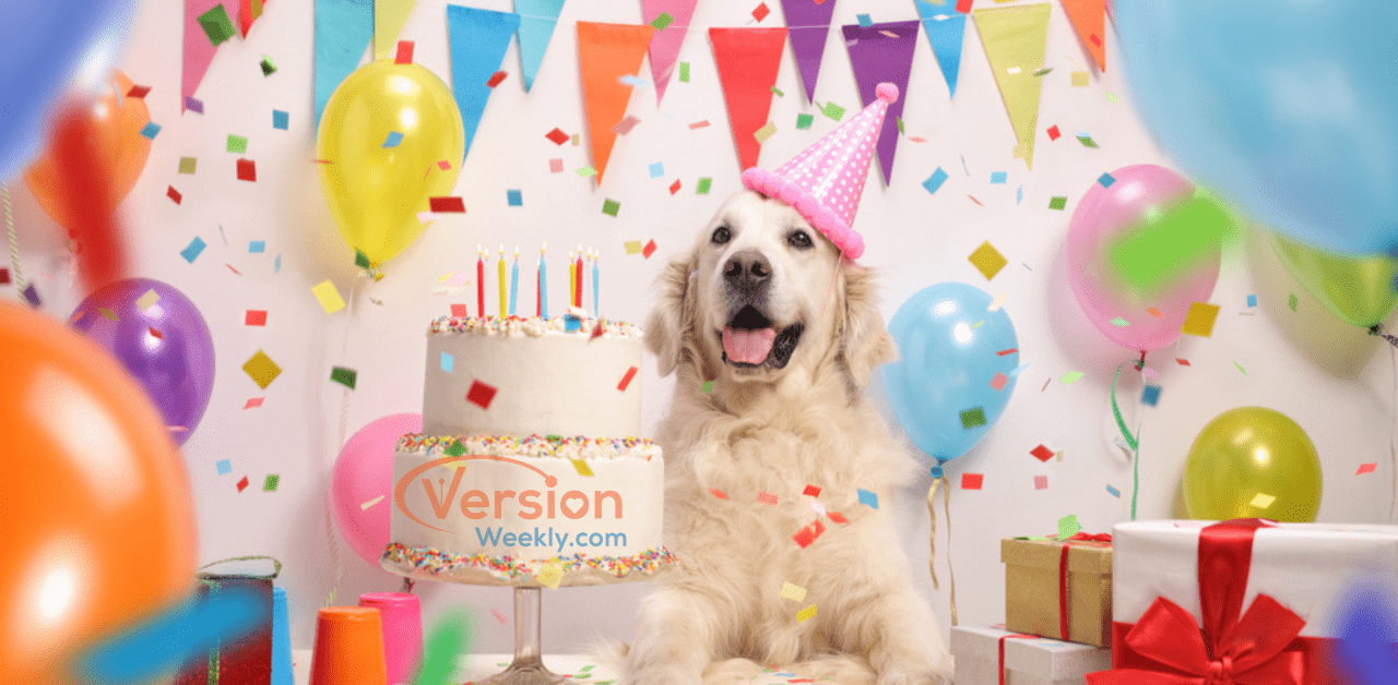 Birthday Captions for Anyone